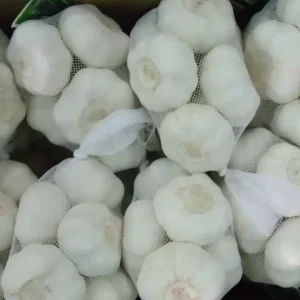 Reinweißer Knoblauch (1)