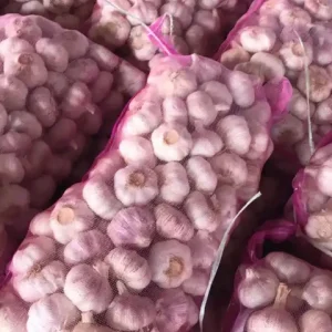 Ajo blanco normal, bolsa de malla de 10 kg (1)