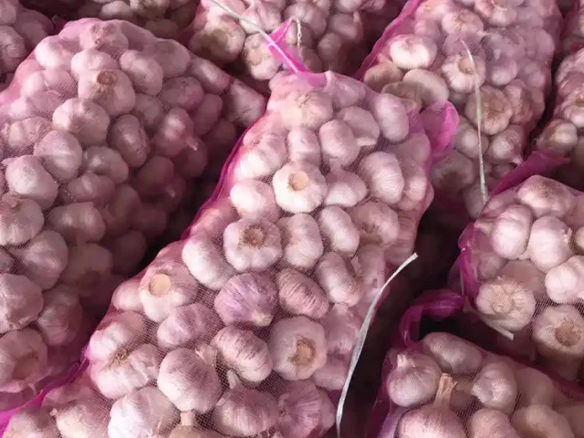 ثوم أبيض عادي، كيس شبكي 10 كجم (1)