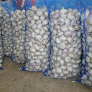 Ajo blanco normal, bolsa de malla de 20 kg