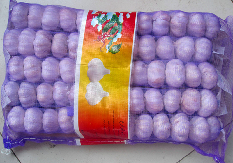 Sacchetto a rete da 5 kg per aglio bianco normale