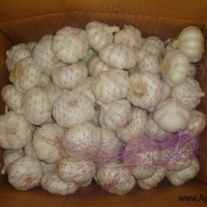 Caja de 10 kg de ajo blanco puro