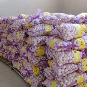Ajo blanco puro, bolsa de malla de 10 kg